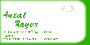 antal mayer business card